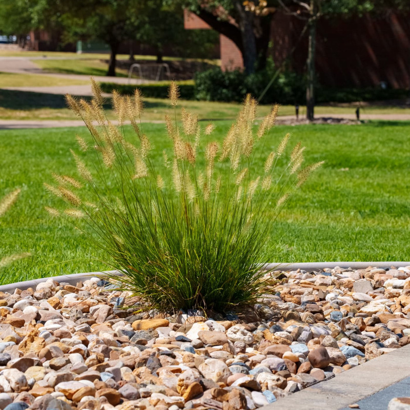 landscaping-gallery-2