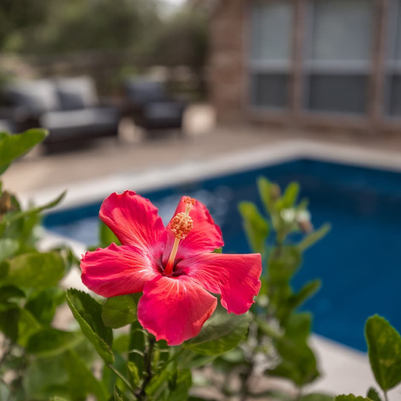 landscaping-gallery-3